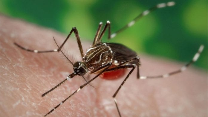Dengue Honduras