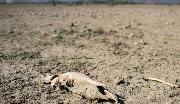 Chile enfrenta actualmente una sequía que se prolonga desde hace 10 años