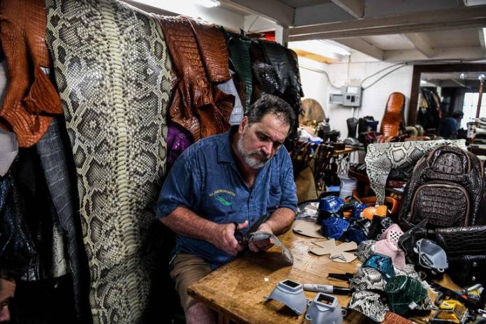 Un hombre de Florida fabrica mascarillas con piel de iguanas y serpientes
