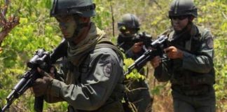 Apure FARC militares