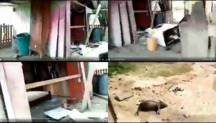 VIDEO] Bombardeos en Apure destruyeron casa en Los Cañitos