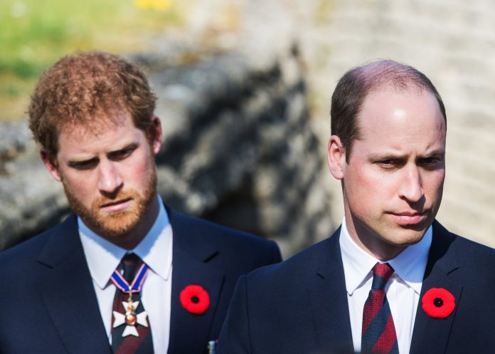 príncipe Harry y William