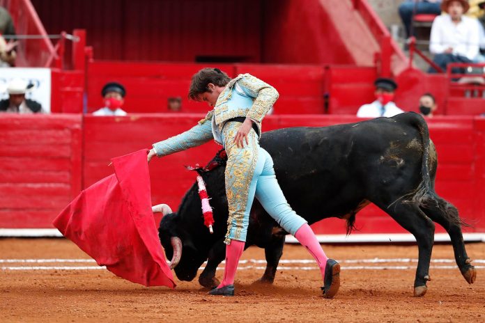 bullfights