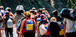 migrantes venezolanos, El Nacional, Conexión MIgrante-de Plan Internacional