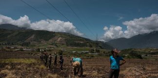 Gobierno de Maduro negó que vaya a regalarle tierras productivas al régimen de Irán