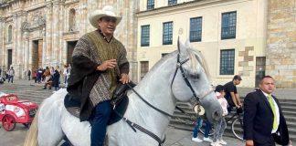 Senador colombiano caballo