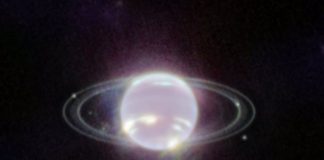 Webb anillos Neptuno