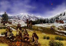 Entre neandertales y sapiens hubo sexo, pero poco amor